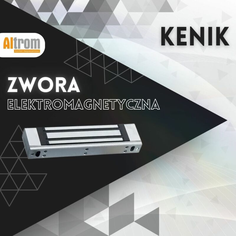 Zwora elektromagnetyczna